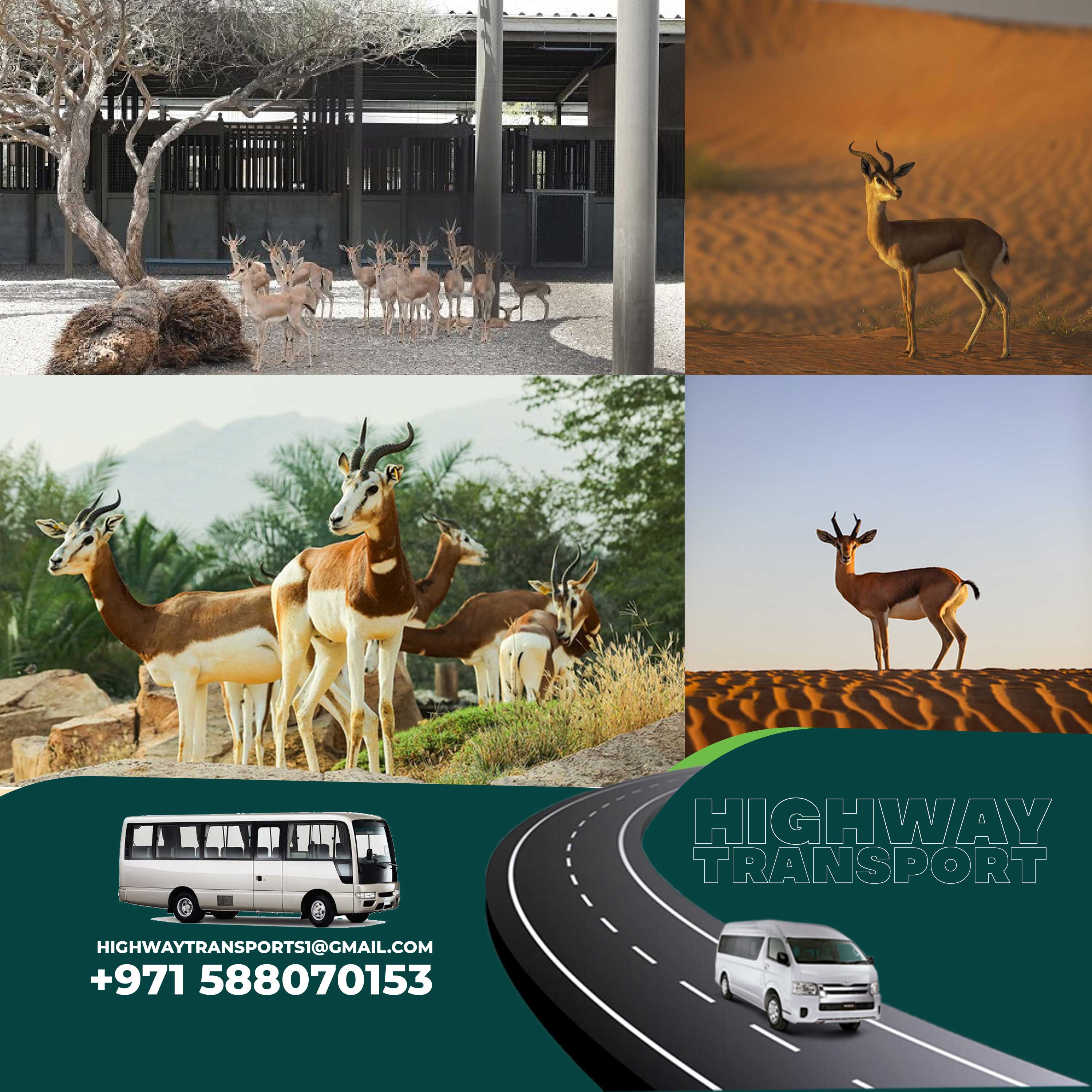 Al Dhaid Wildlife Centre showcasing diverse wildlife at Dhaid Wildlife Park, Safari Park, and Wildlife Sanctuary in Dhaid
