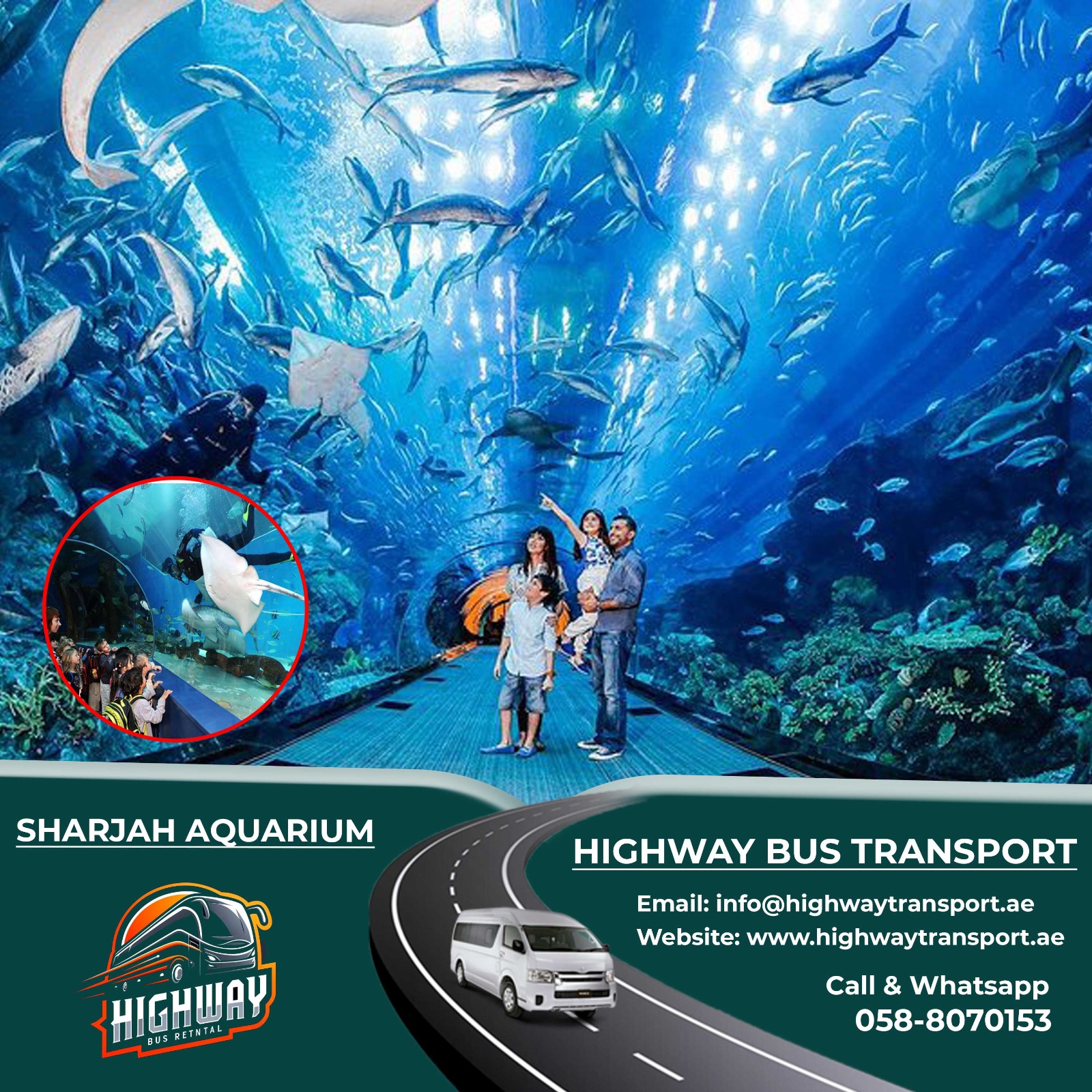 Interior of Sharjah Aquarium showcasing diverse marine life and exhibits