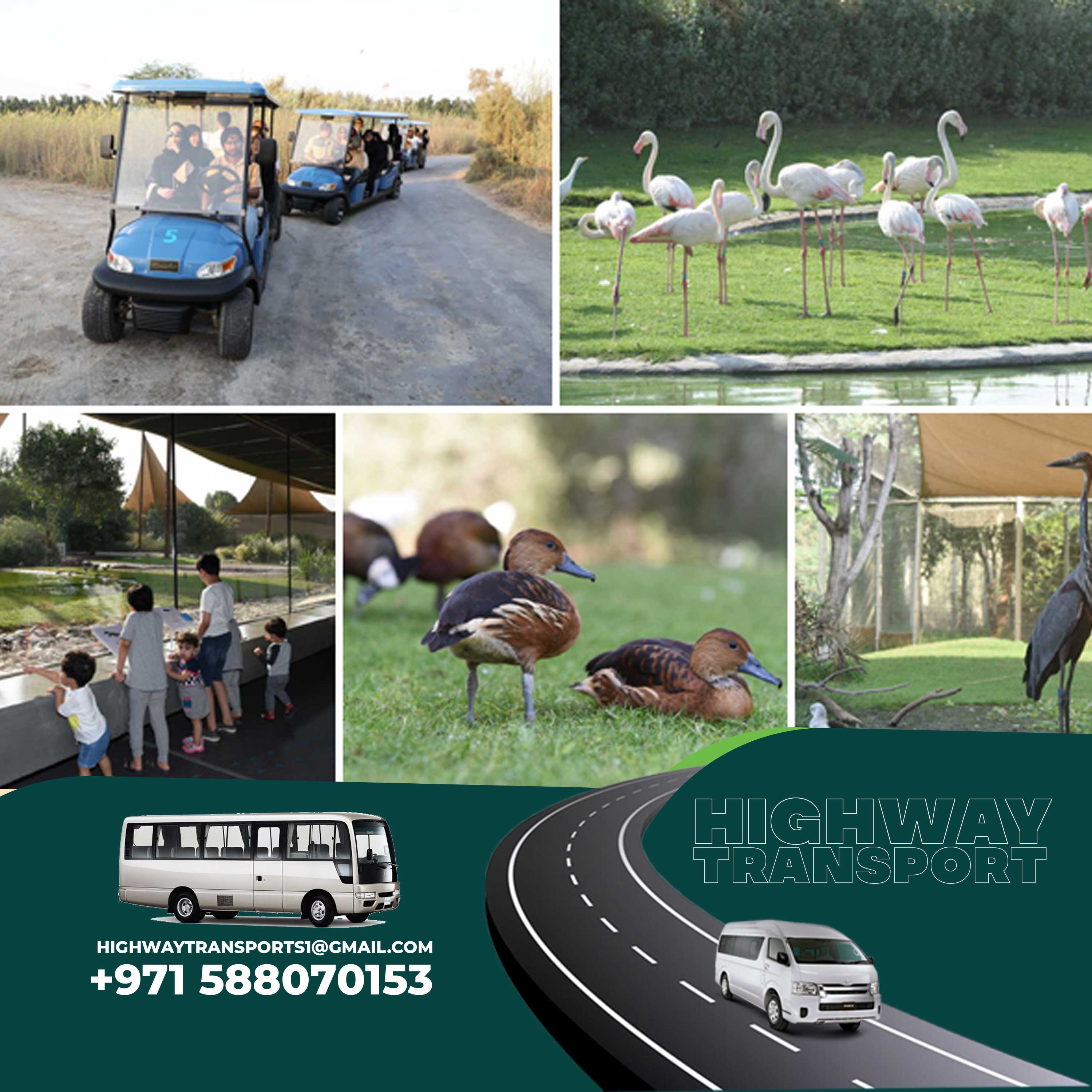 View of Wasit Wetland Centre showcasing the beauty of Wasit Nature Reserve, Wasit Birdwatching Center, and Wasit Wetlands Sharjah