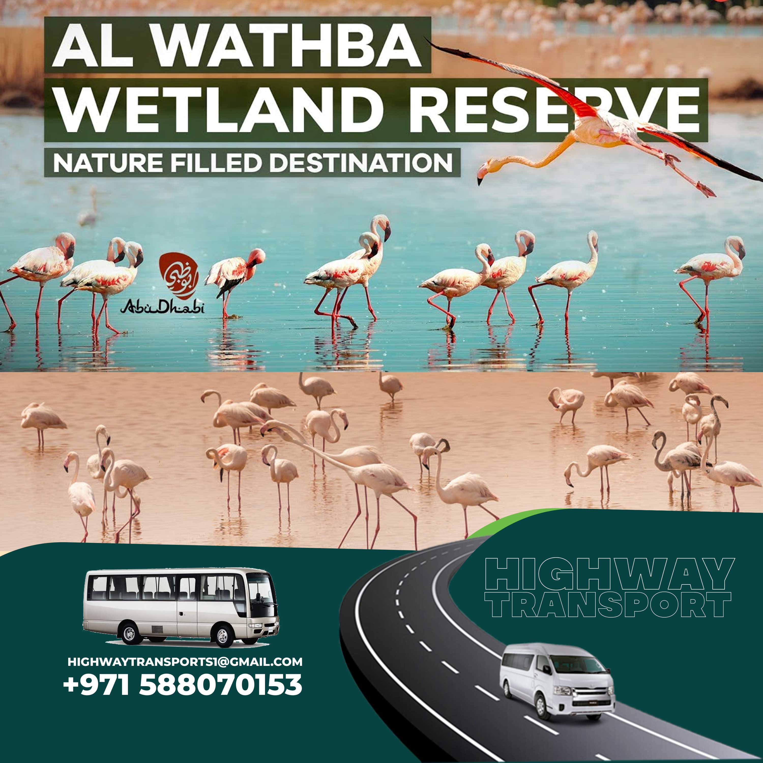 Al Wathba Wetland Reserve featuring species spotting, visiting times, regulations, and activities